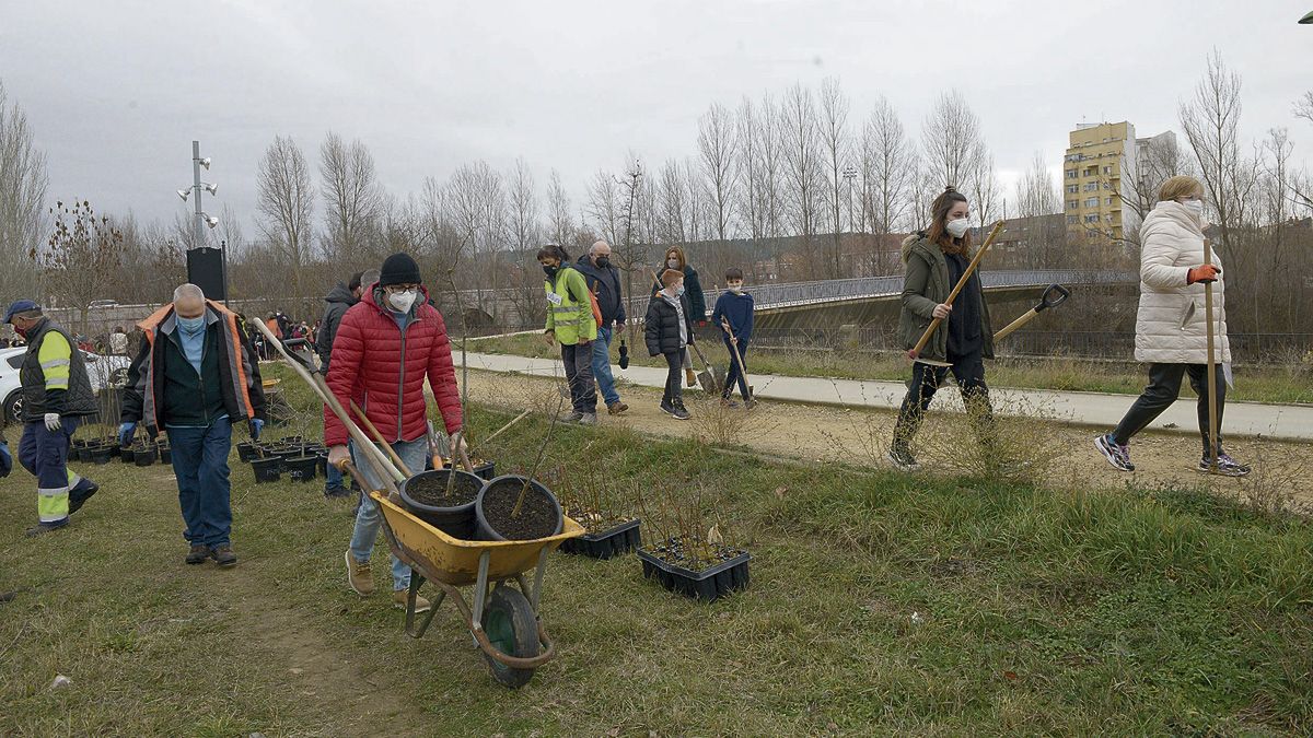 Un instante de la plantación de árboles llevada a cabo en el barrio de Puente Castro. | MAURICIO PEÑA