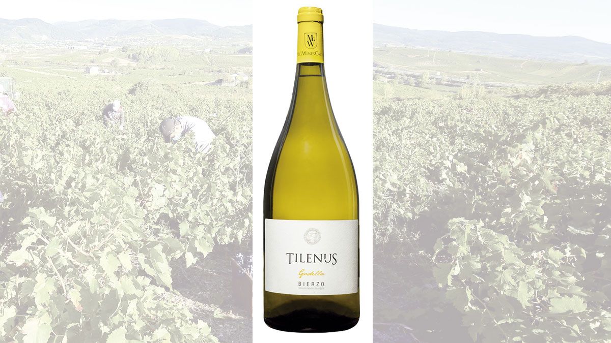 tilenus-godello-31122021.jpg