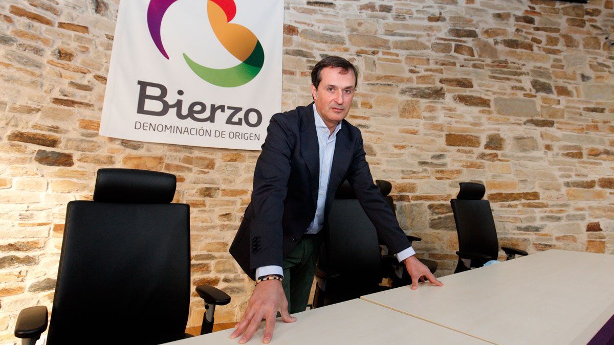 Adelino Pérez es el nuevo presidente de la DO Bierzo. | ICAL