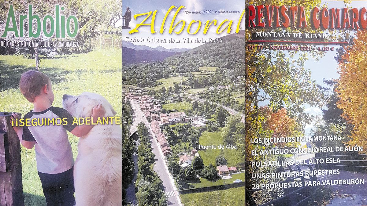 Portadas de los últimos números de las revistas vinculadas a las comarcas de Riaño, La Robla y los Argüellos.