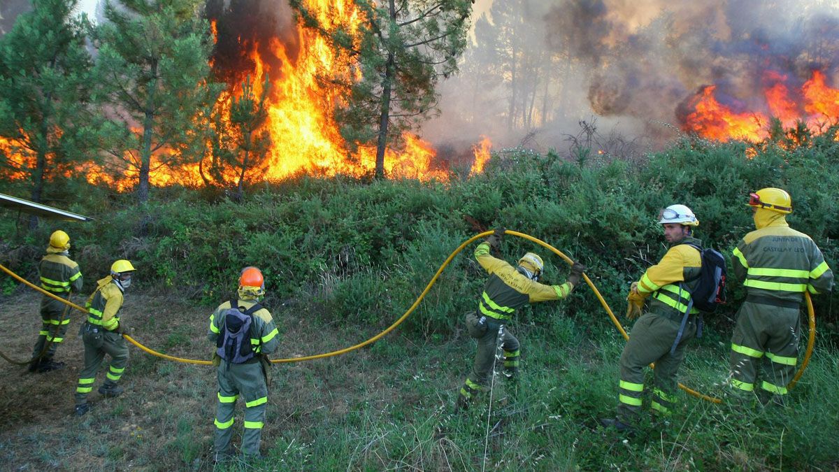 Brigadas forestales en la extinción de un incendio en Magaz de Abajo.| C. Sánchez (Ical)