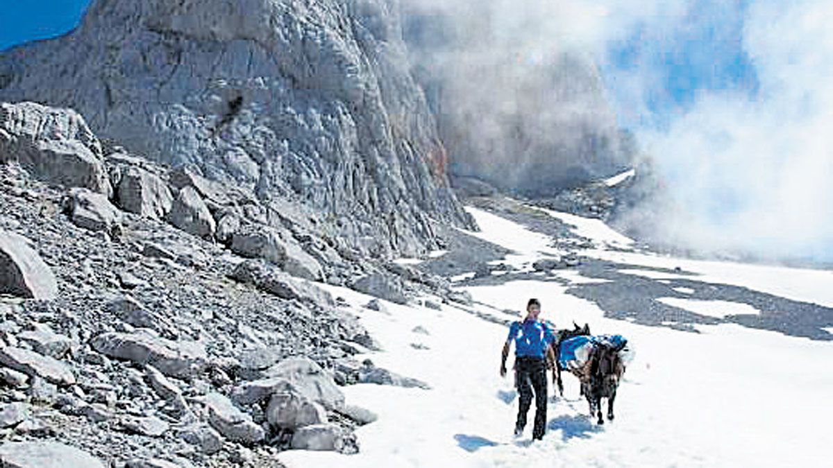 Juan Mier porteando en medio de una gran nevada con sus mulos. | REFUGIO URRIELLU