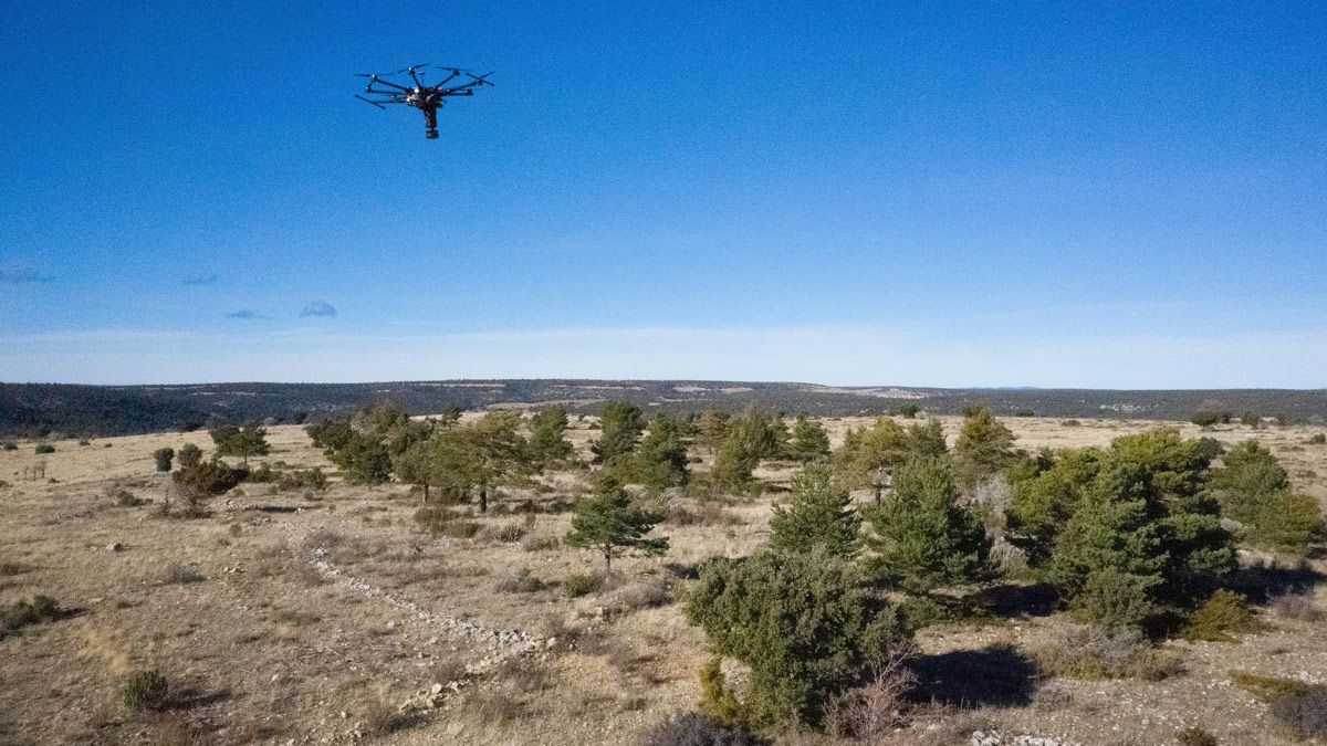 dron-reforestacion-iberdrola-322022.jpg