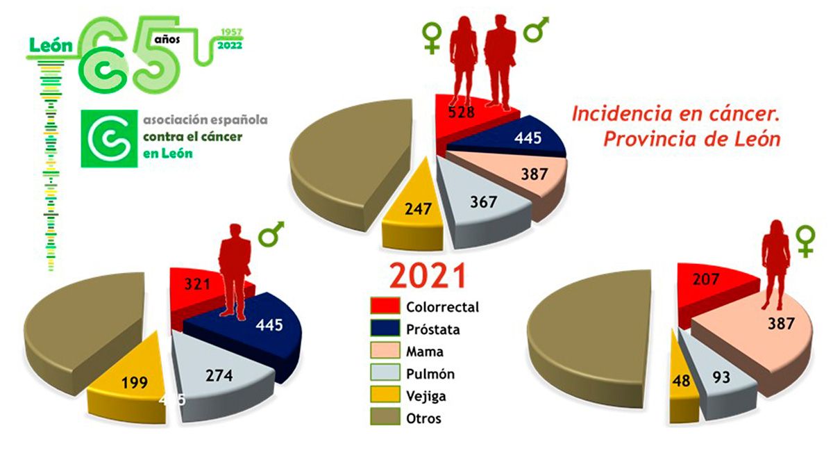 grafico-cancer-leon-03022022.jpg