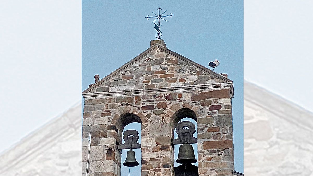 Operarios con una pinza retiran el nido de la iglesia de Riello; otra cosa bien diferente es convencer a la cigüeña. | L.N.C.