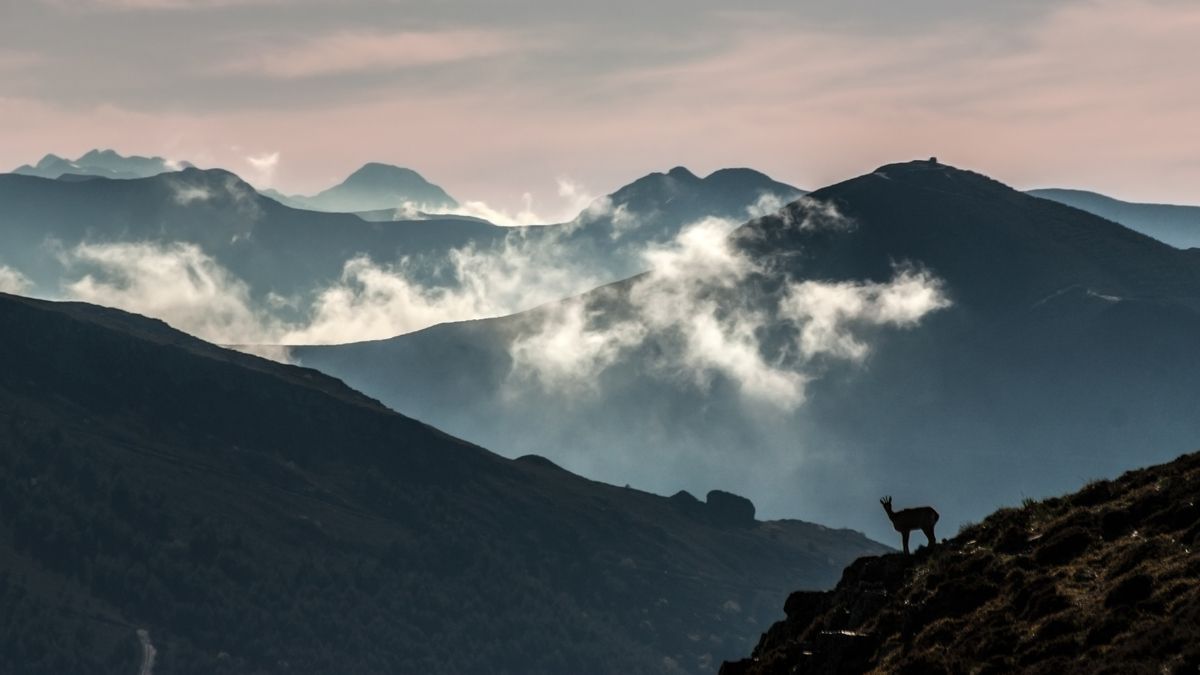 Imagen de un paisaje de Ancares, de Daniel Sánchez Enjuto para una iniciativa de la Rbale.