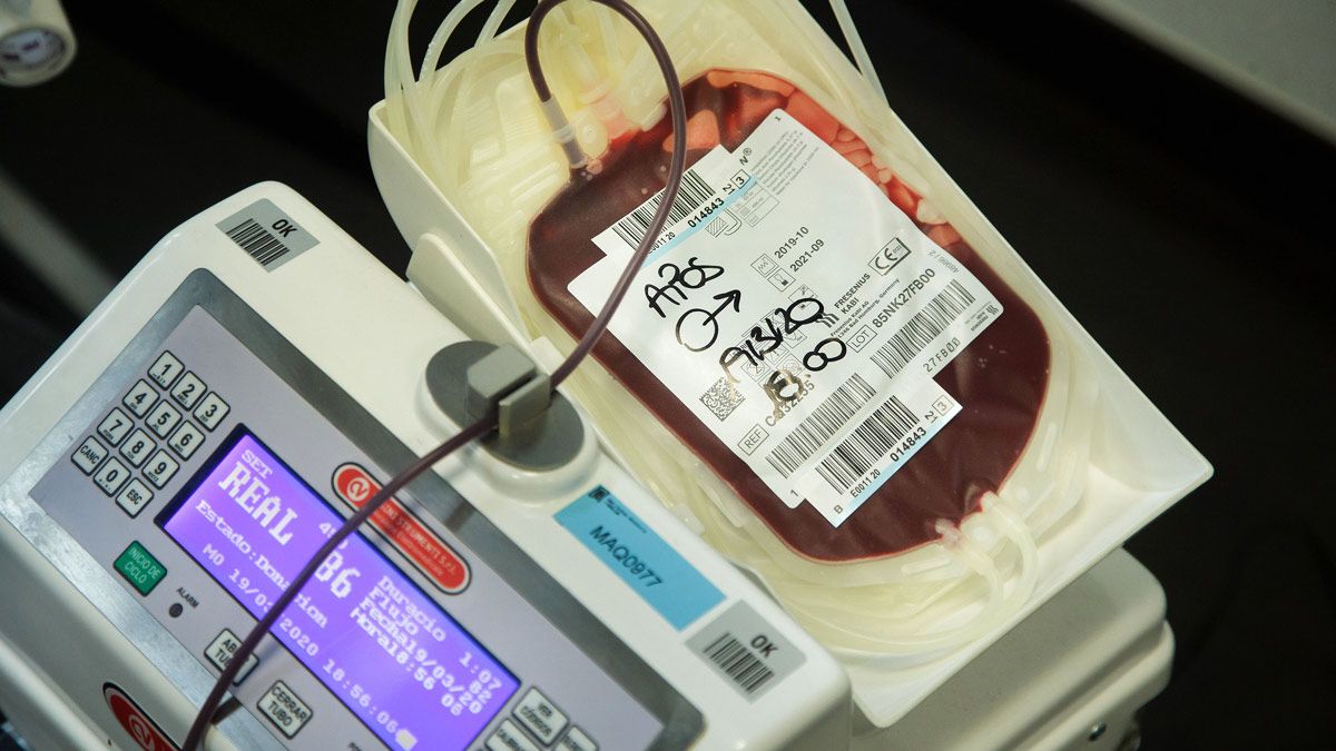 donacion-sangre-822022.jpg
