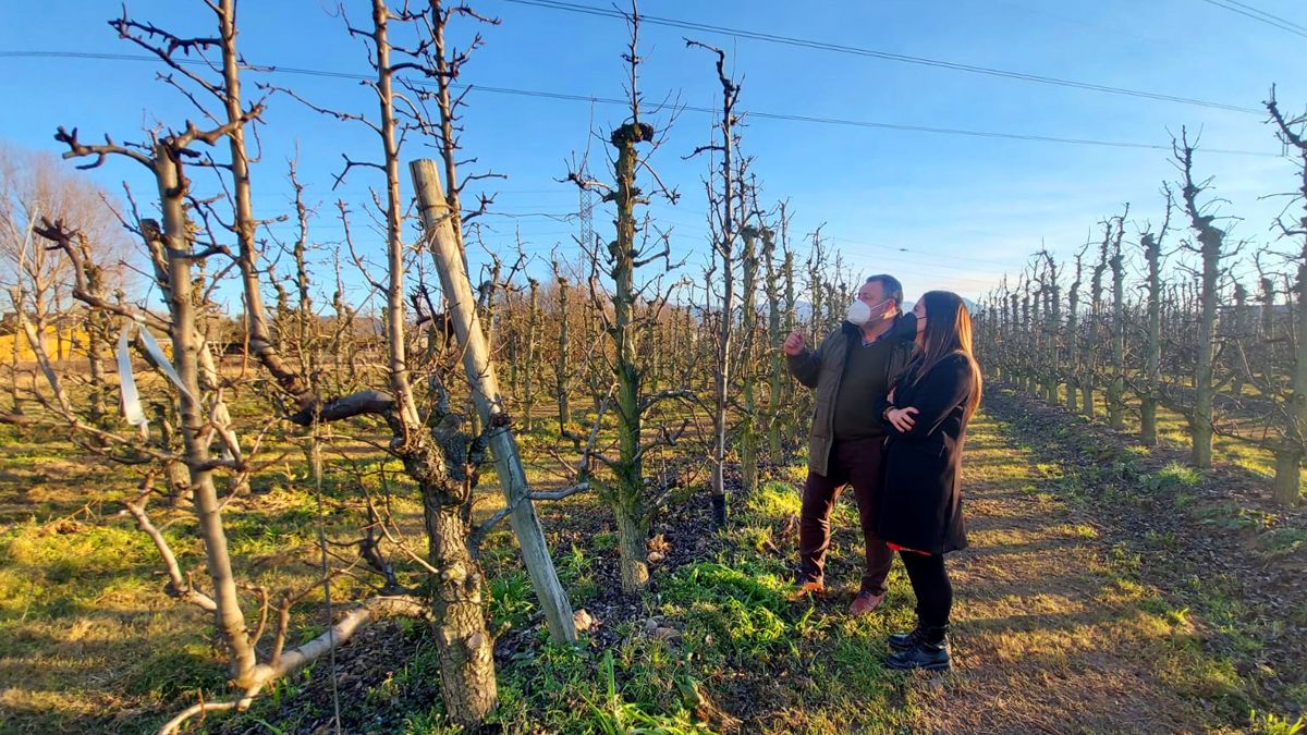 Morán y Rubio visitaron una parcela agrícola en el Bierzo. | L.N.C.