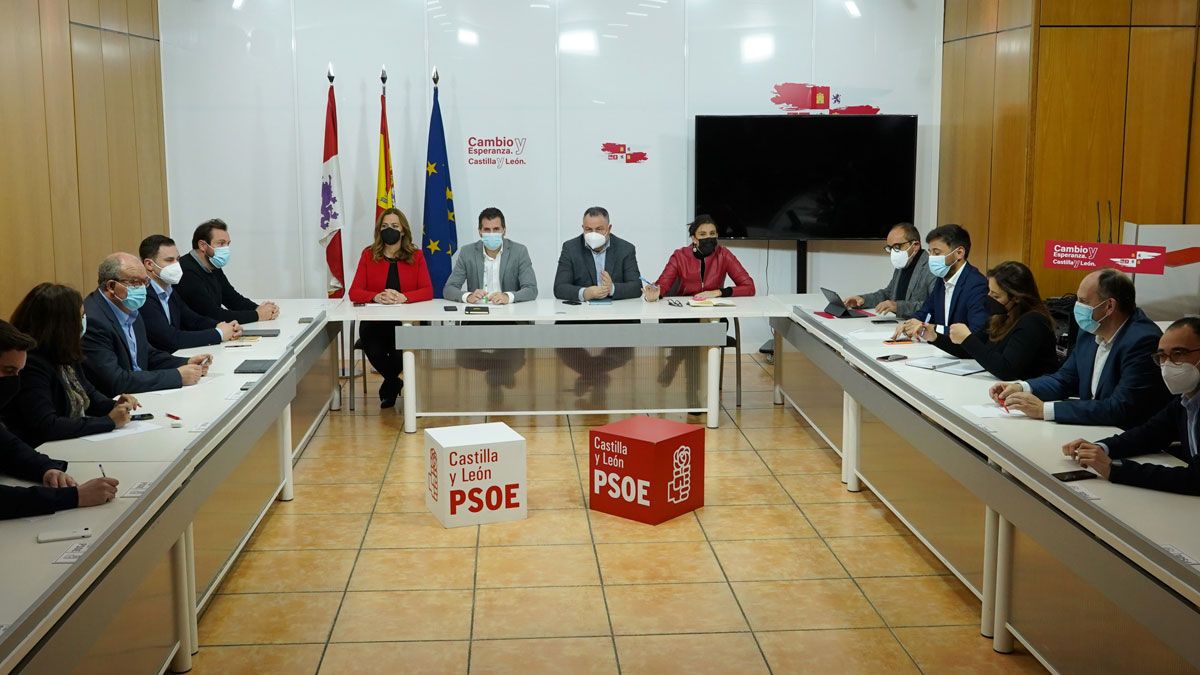 psoe-15222.jpg