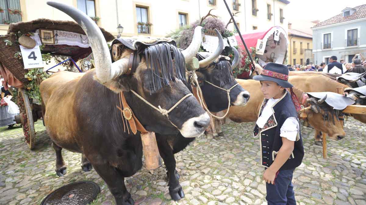 Un total de 26 carros engalanados participarán en el tradicional desfile. | DANIEL MARTÍN