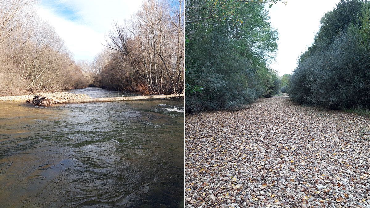 Con diferente vista, pero el mismo tramo del río Duerna, entre Villalis y Villamontán, cargado de agua en enero (izquierda) y sin una gota en septiembre. | L.N.C.