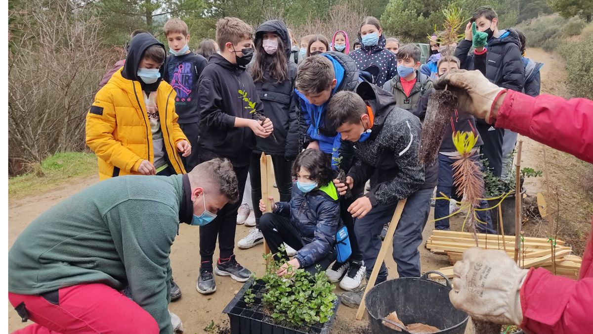 Los jóvenes recibieron también una charlas sobre el funcionamiento de los ecosistemas forestales. | L.N.C.