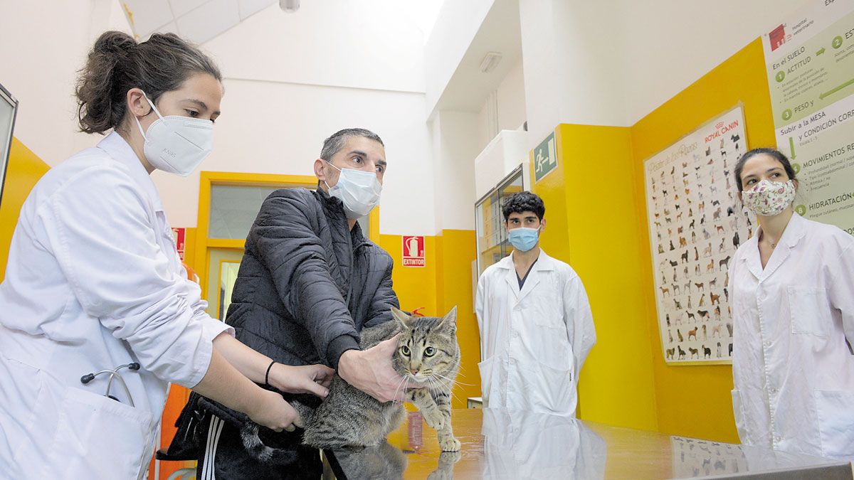 hospital-veterinario-ule-11032022.jpg