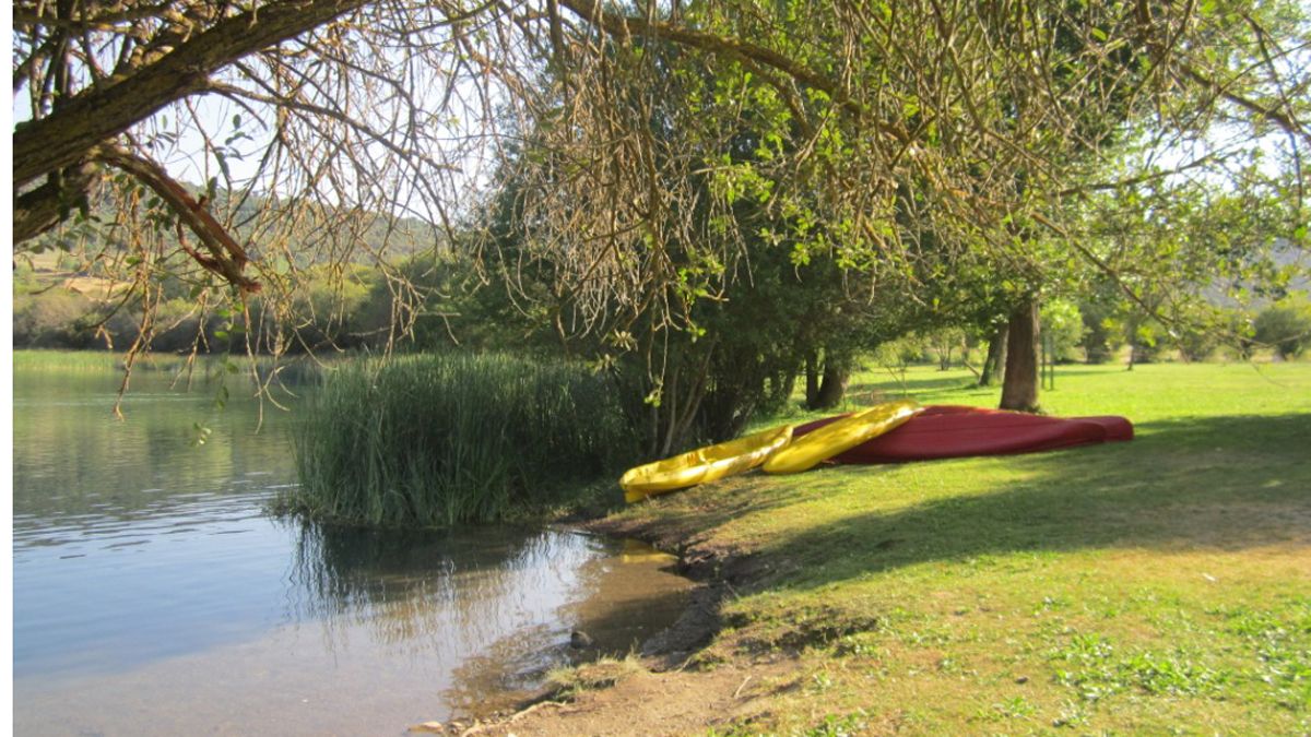 El Lago de Carucedo, un humedal  de alto valor ambiental en el Bierzo. | L.N.C