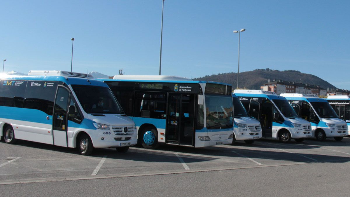 Flota de autobuses del nuevo servicio en su presentación, el año pasado.
