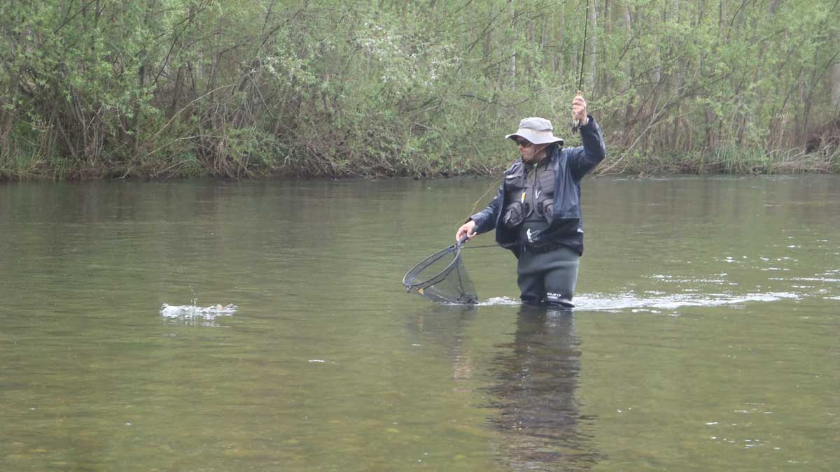 Un pescador en el río Porma. | R.P.N.