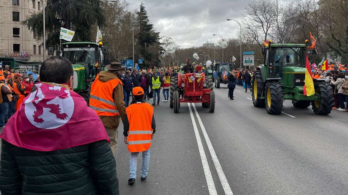 La manifestación en su recorrido por la Castellana hacia el Ministerio de Transición Ecológica y Reto Demográfico. | UGAL UPA