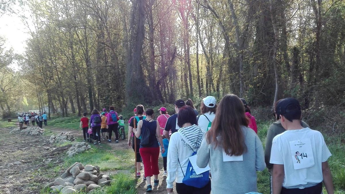 Imagen de andarines durante una edición anterior en un tramo de La Loquia. / Ayto. de Toral