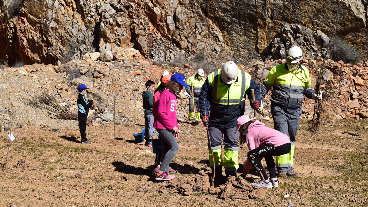 Escolares y trabajadores de Cosmos, en la jornada de plantación de árboles.