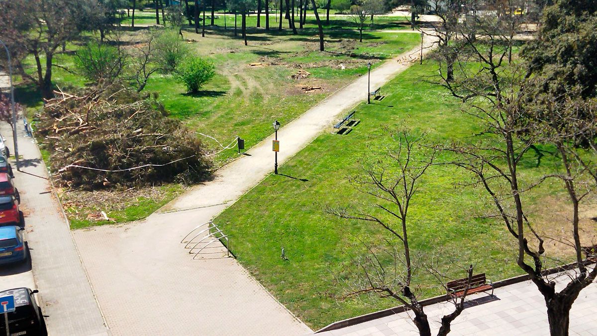 Imagen que exhibe estos días el Parque del temple tras la tala.