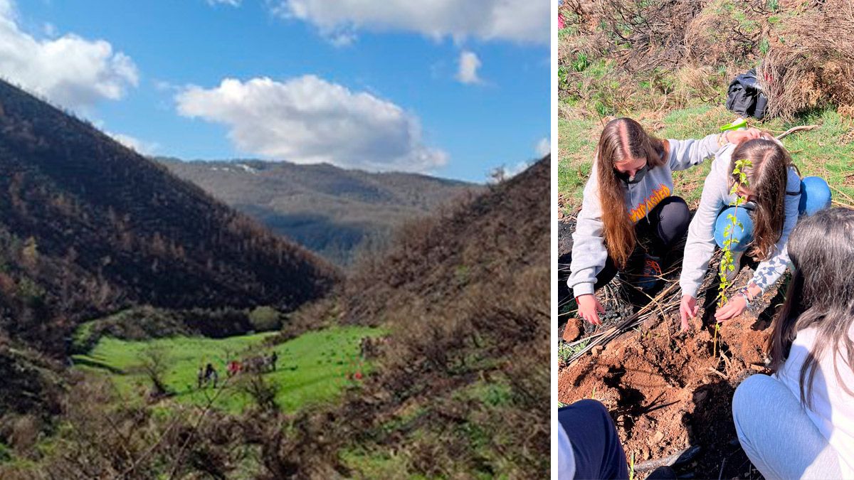 Varias alumnas participando en las tareas de reforestación de la zona quemada el pasado verano. | L.N.C.