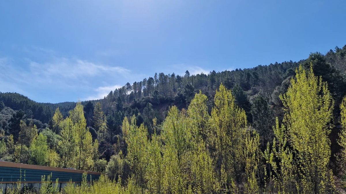 Una panorámica de la emblemática montaña La Rubiona, que se alza a los pies de Fabero. |S.G.