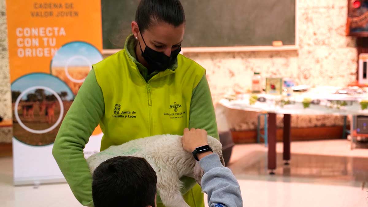 Cerca de 1.500 estudiantes leoneses participarán en el programa. | L.N.C. Cerca de 1.500 estudiantes leoneses participarán en el programa. | L.N.C.