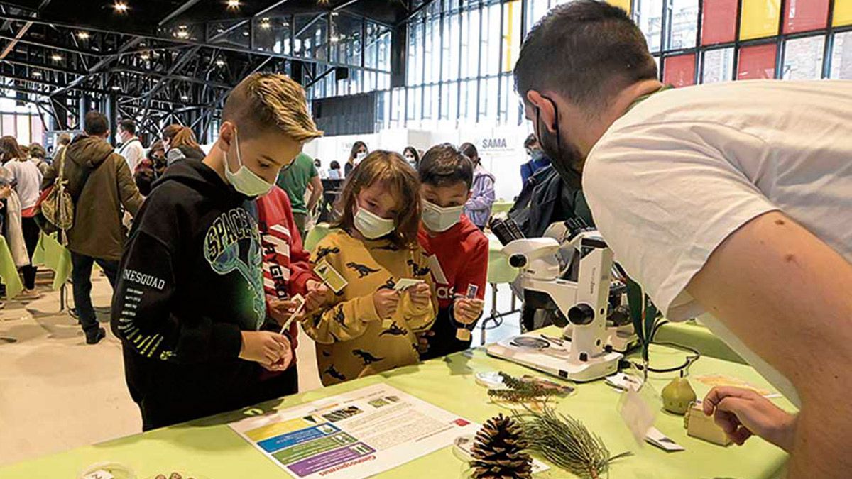 Un taller de esta edición de 'Expociencia'. | MAURICIO PEÑA
