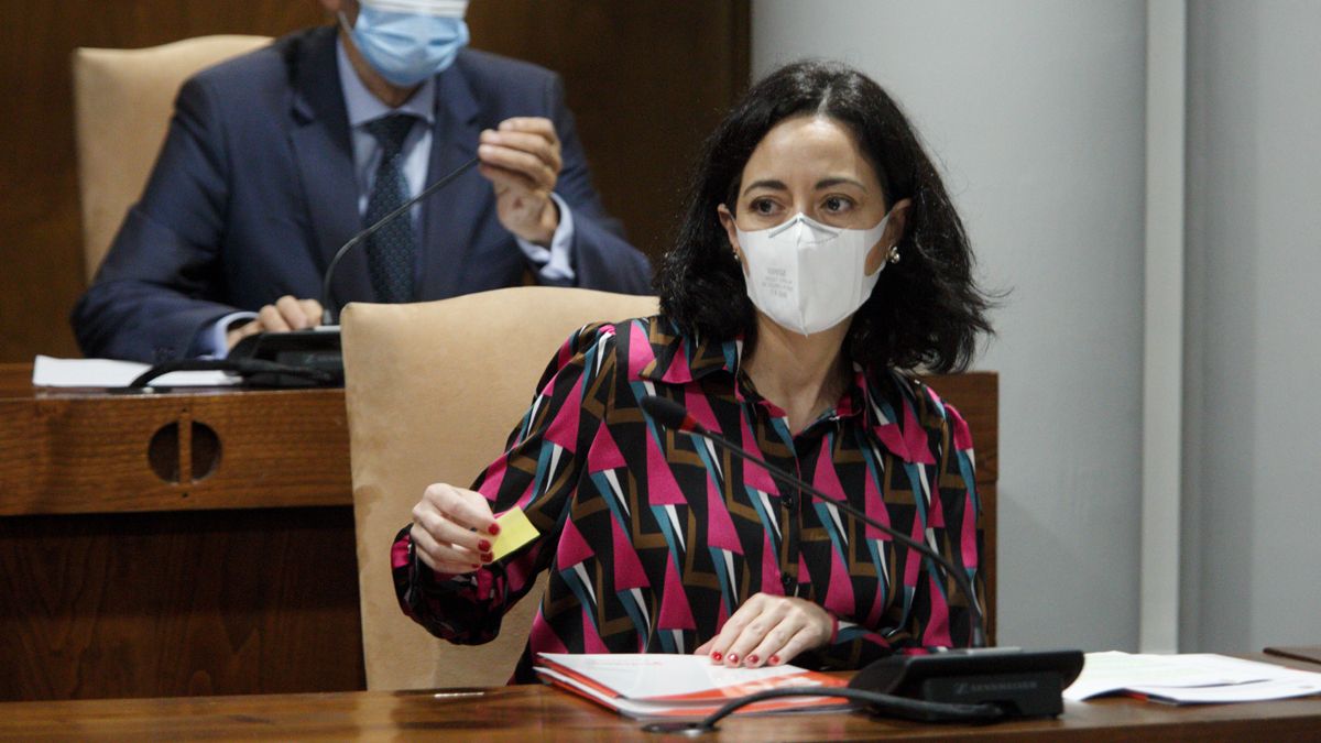 Ruth Morales, portavoz de Ciudadanos, en una imagen de archivo durante un pleno. | Ical