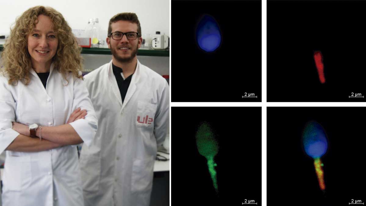 Los dos investigadores premiados este año por la Universidad de León y sus trabajos. | L.N.C.