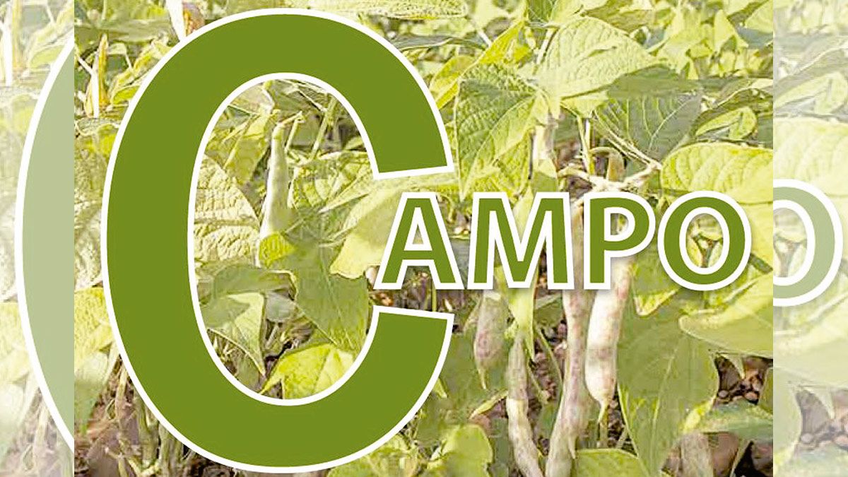 suplemento-campo.jpg suplemento-campo.jpg