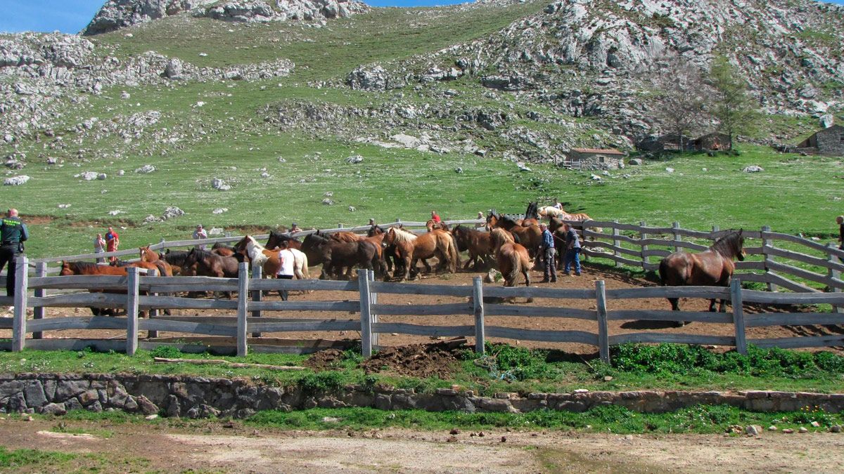 La Guardia Civil intervino recientemente. | BABIA.NET