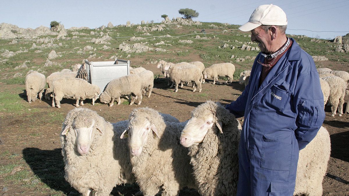 El mercado de la carne atravesaba evidentes problemas, por ello, Argimiro Rodríguez, de Tejerina, decidió abrirse nuevos caminos. | MANUEL R. PASCUAL