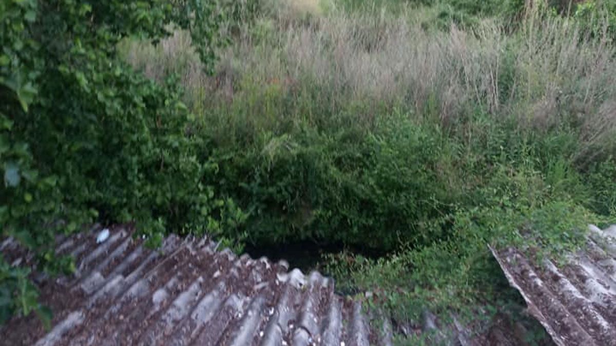 Estado de la zona donde Carballo considera ideal hacer un lago artificial.