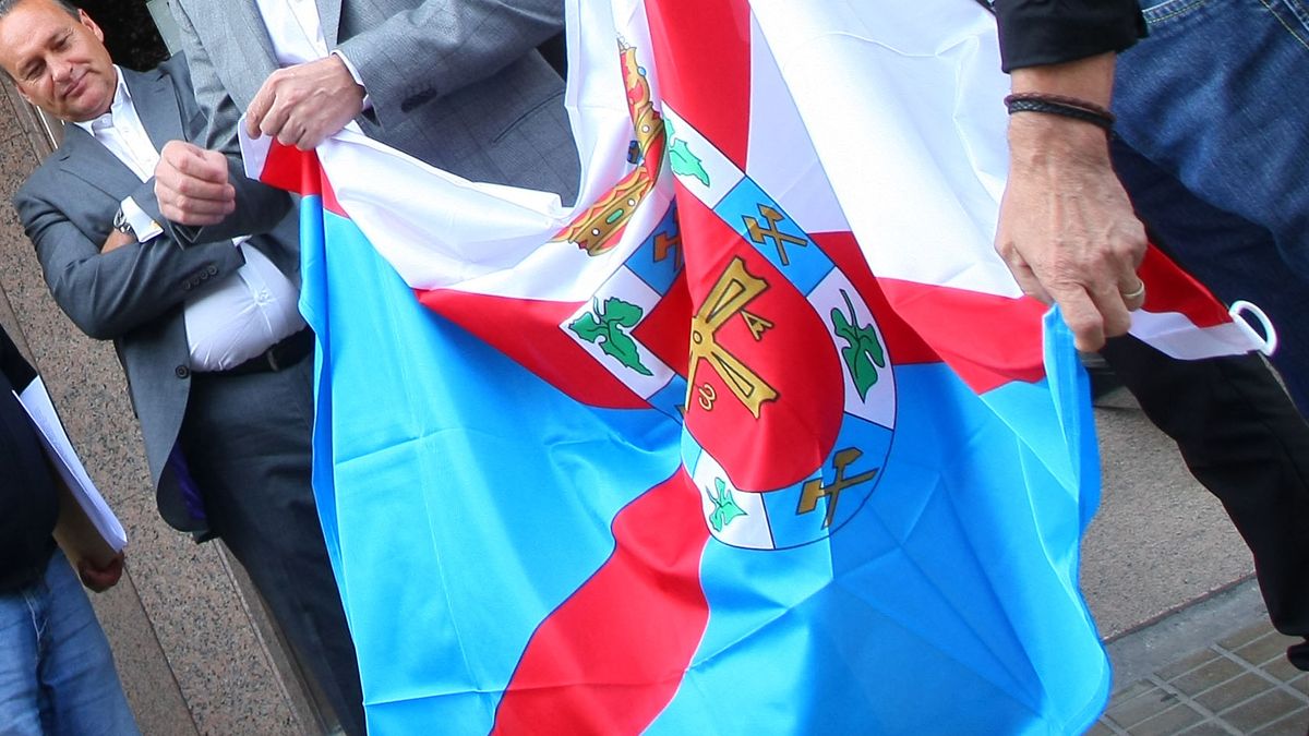 Imagen de una bandera del Bierzo, que Coalición por el Bierzo entregó a la Diputación. | Ical