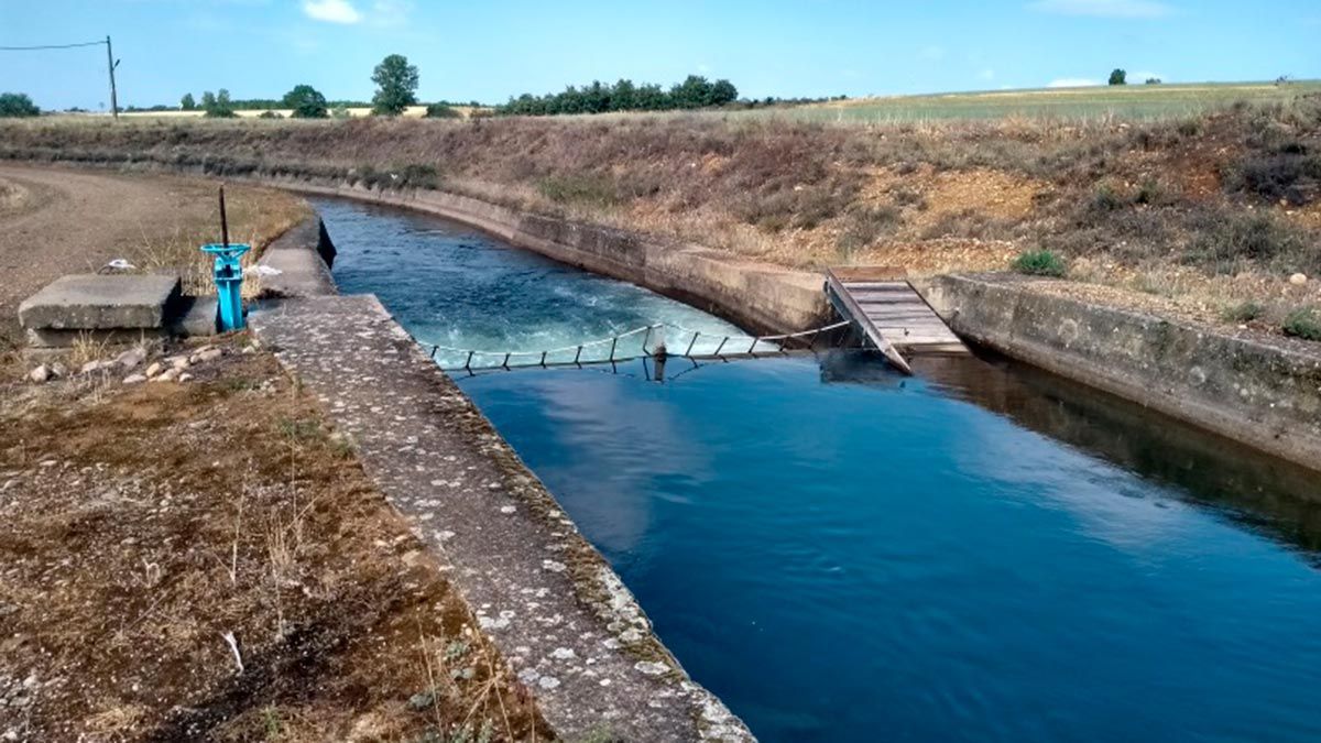 chd-canal-19520-1-1.jpg