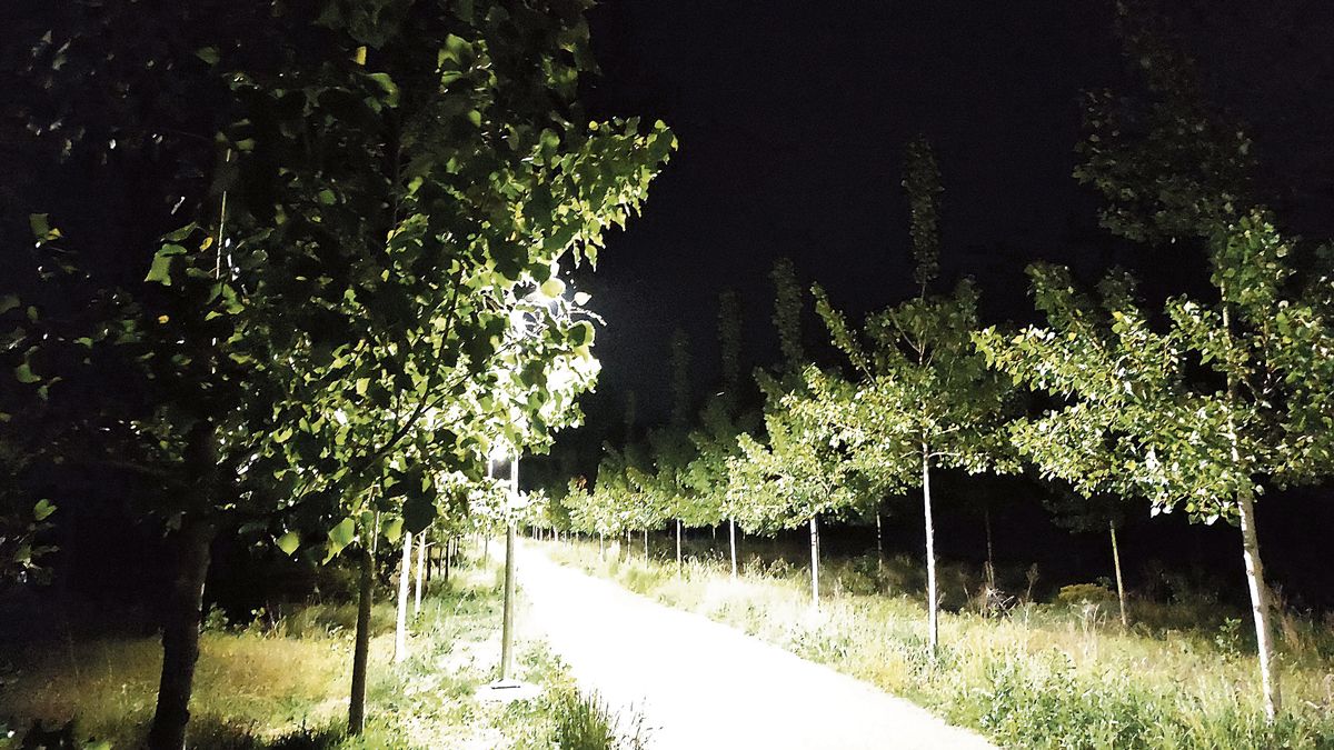 Iluminación en la zona del polideportivo. | L.N.C.