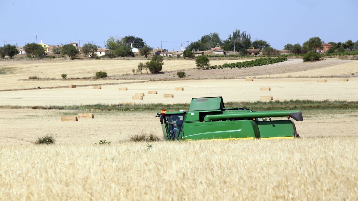 Esta imagen se puede adelantar en hasta 22 días este año en buena parte de la provincia leonesa. | L.N.C.