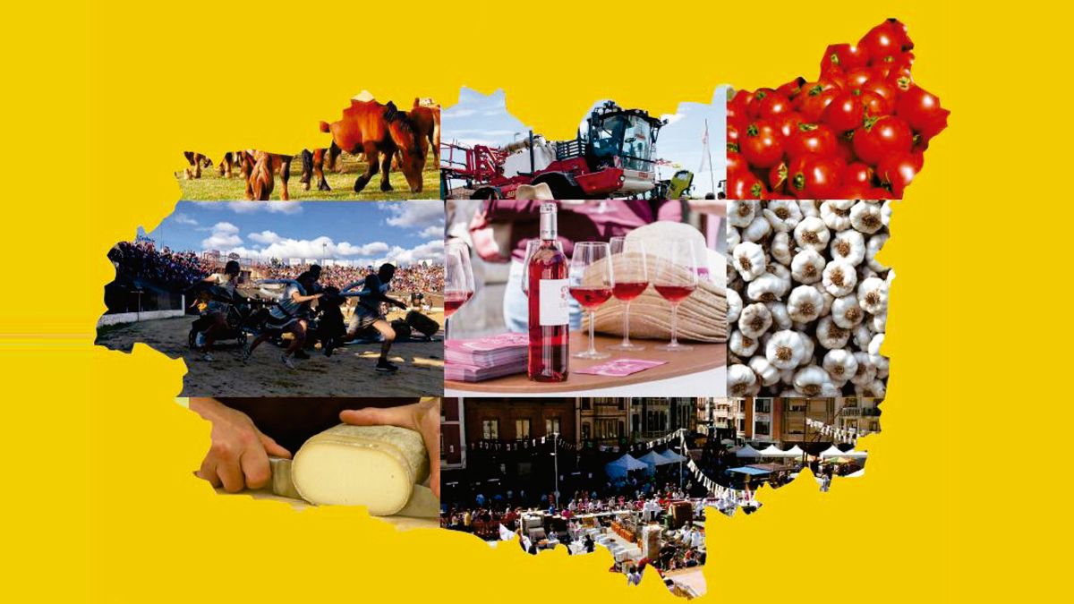 especial-ferias-mercados-leon.jpg especial-ferias-mercados-leon.jpg