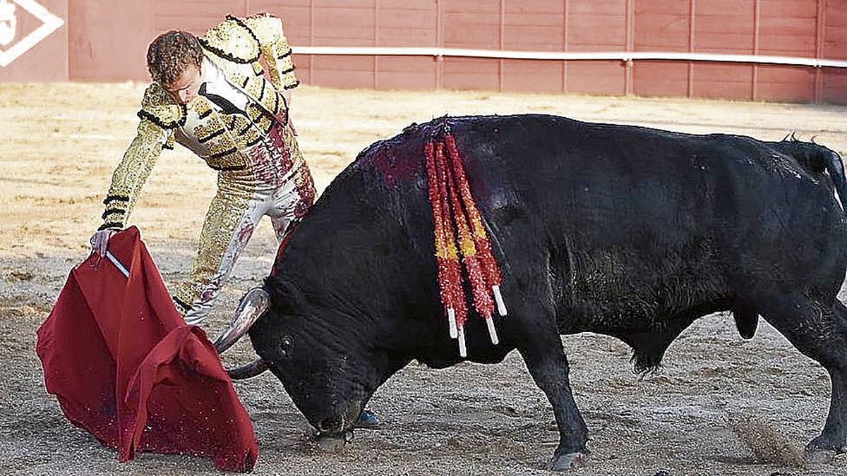 Damián Castaño en un lance de la única corrida que ha toreado este año anterior a su presencia esta tarde en la Feria de San Isidro de Madrid, en Navas del Rey. | L.N.C.