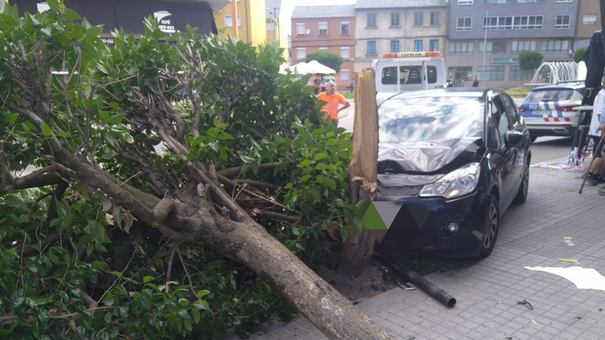 Estado en el que quedó el vehículo después de frenar contra un árbol.