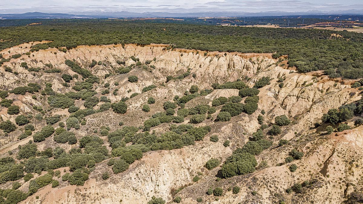 Las Torcas de Barrientos componen un paisaje con muy interesantes implicaciones geológicas y de mucha belleza. | VICENTE GARCÍA Las Torcas de Barrientos componen un paisaje con muy interesantes implicaciones geológicas y de mucha belleza. | VICENTE GARCÍA