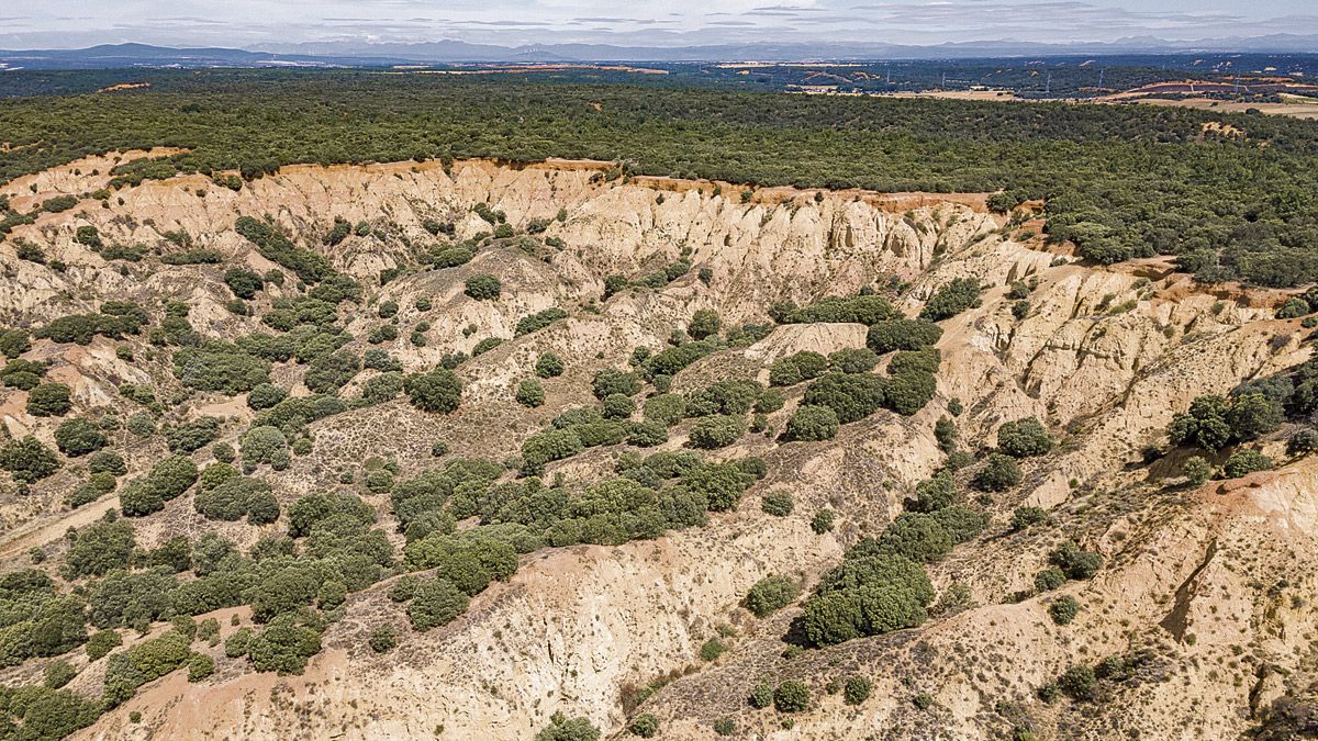 Las Torcas de Barrientos componen un paisaje con muy interesantes implicaciones geológicas y de mucha belleza. | VICENTE GARCÍA