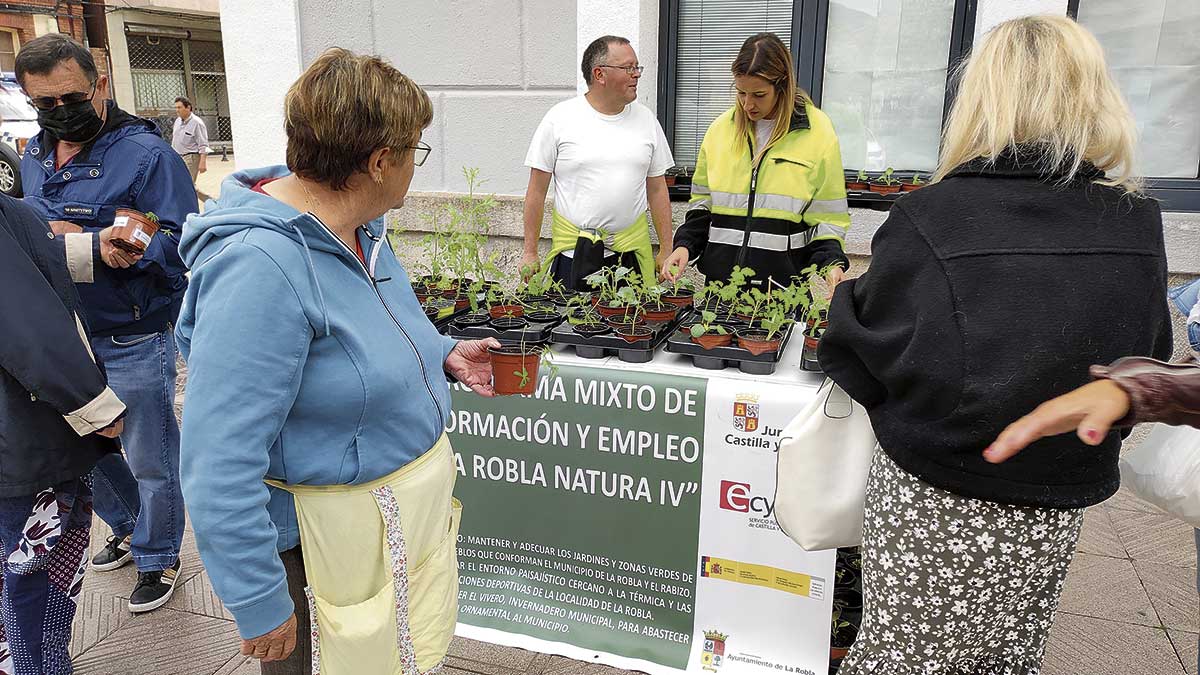 Los alumnos y monitores aprovecharon la celebración del mercado para repartir plantas de distintas especies. | L.N.C. Los alumnos y monitores aprovecharon la celebración del mercado para repartir plantas de distintas especies. | L.N.C.