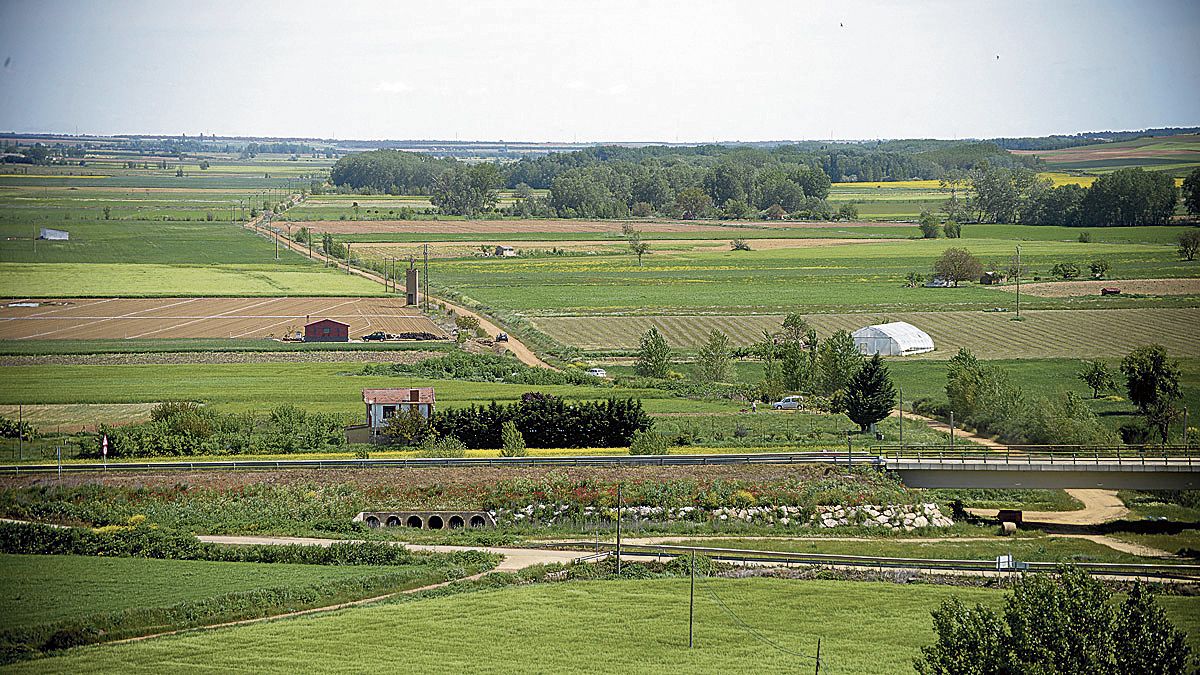regadio-valderas-.jpg regadio-valderas-.jpg