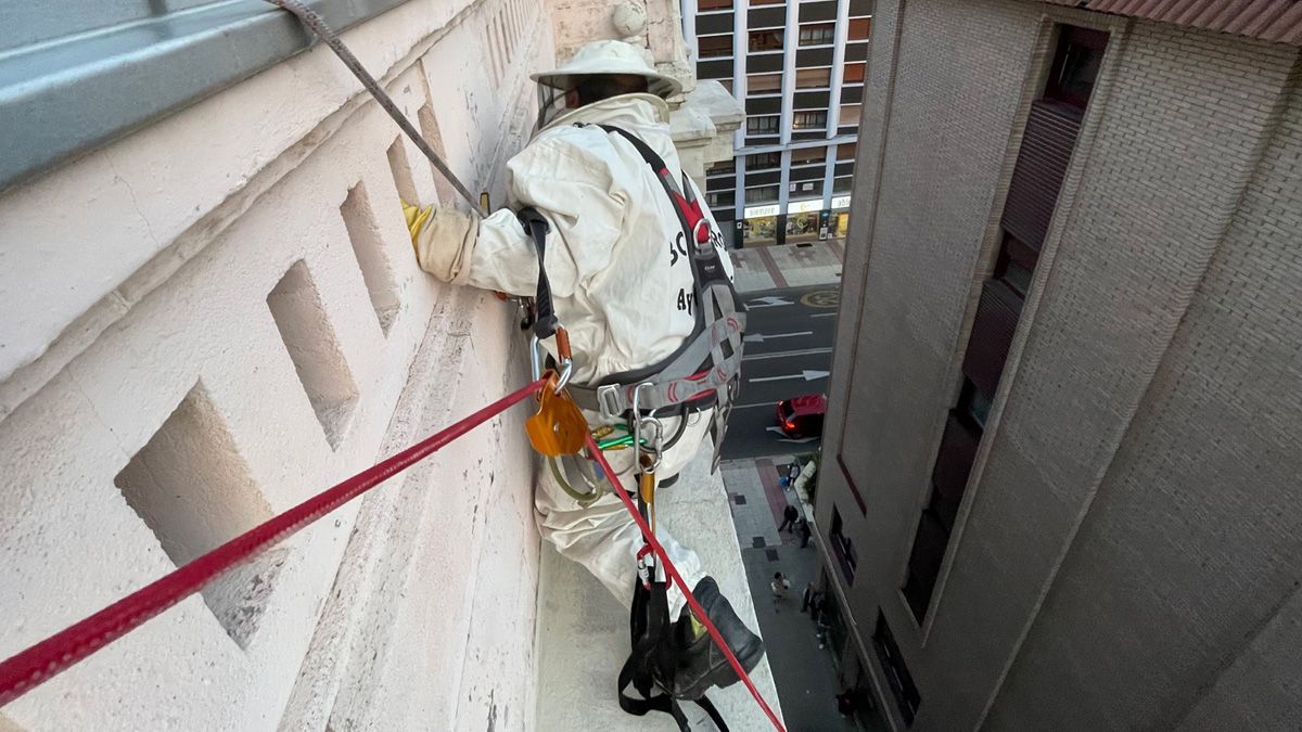 Un efectivo de los bomberos interviene en el lugar. | BOMBEROS AYTO. LEÓN Un efectivo de los bomberos interviene en el lugar. | BOMBEROS AYTO. LEÓN