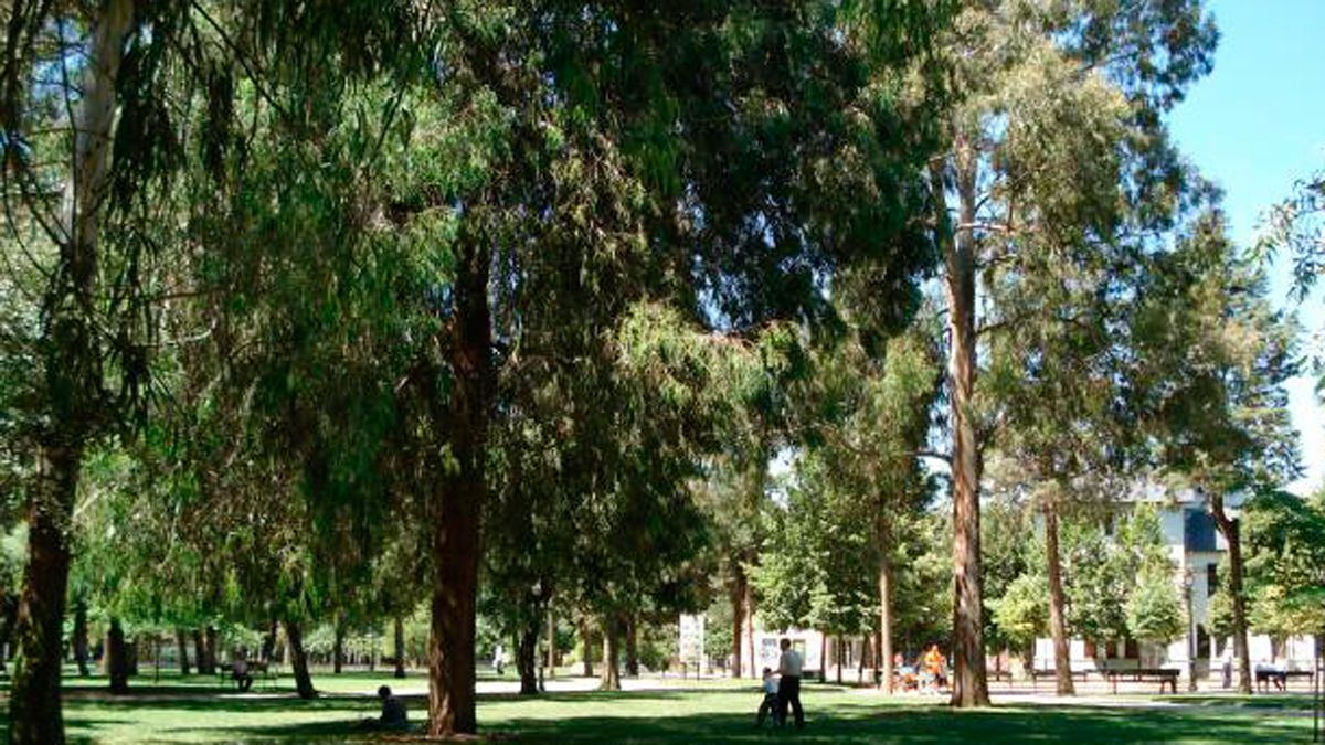 La sede vecinal está en el parque del Temple.