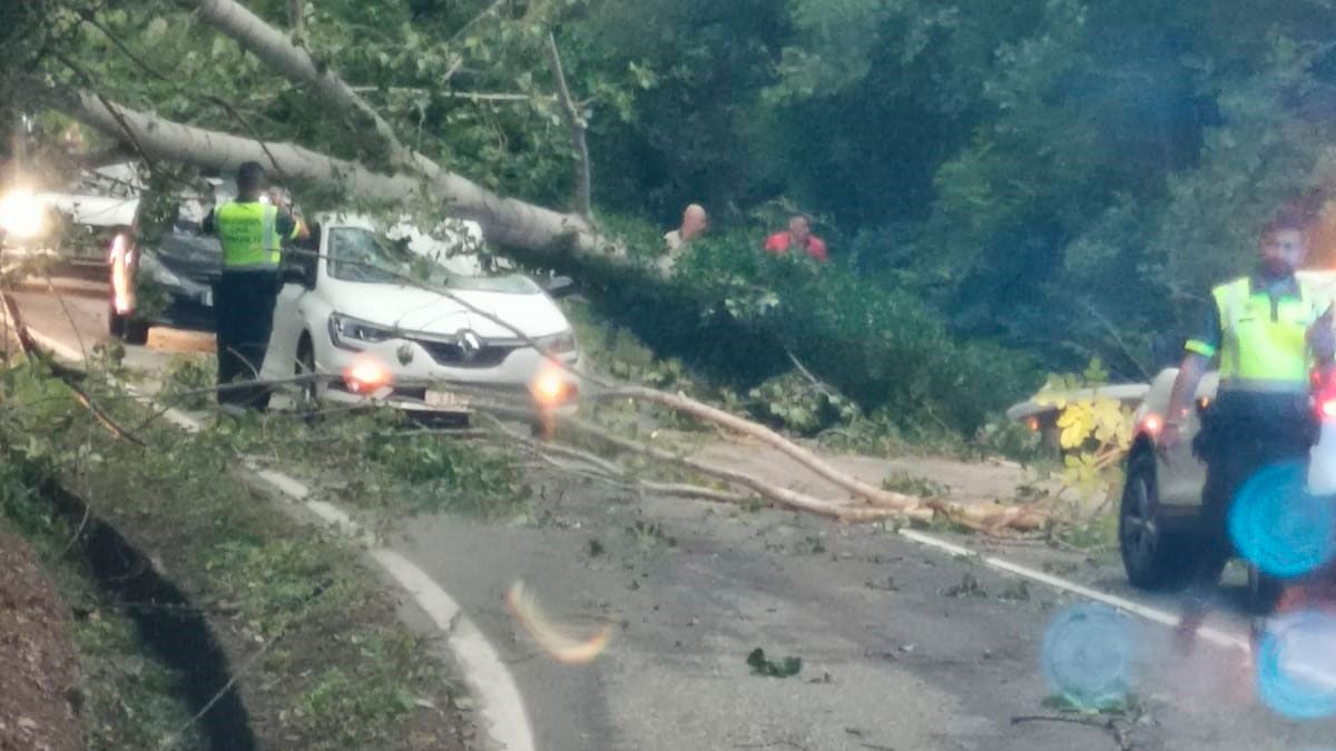 Accidente en la N-536 cuando un árbol se vino sobre un coche con dos ocupantes.