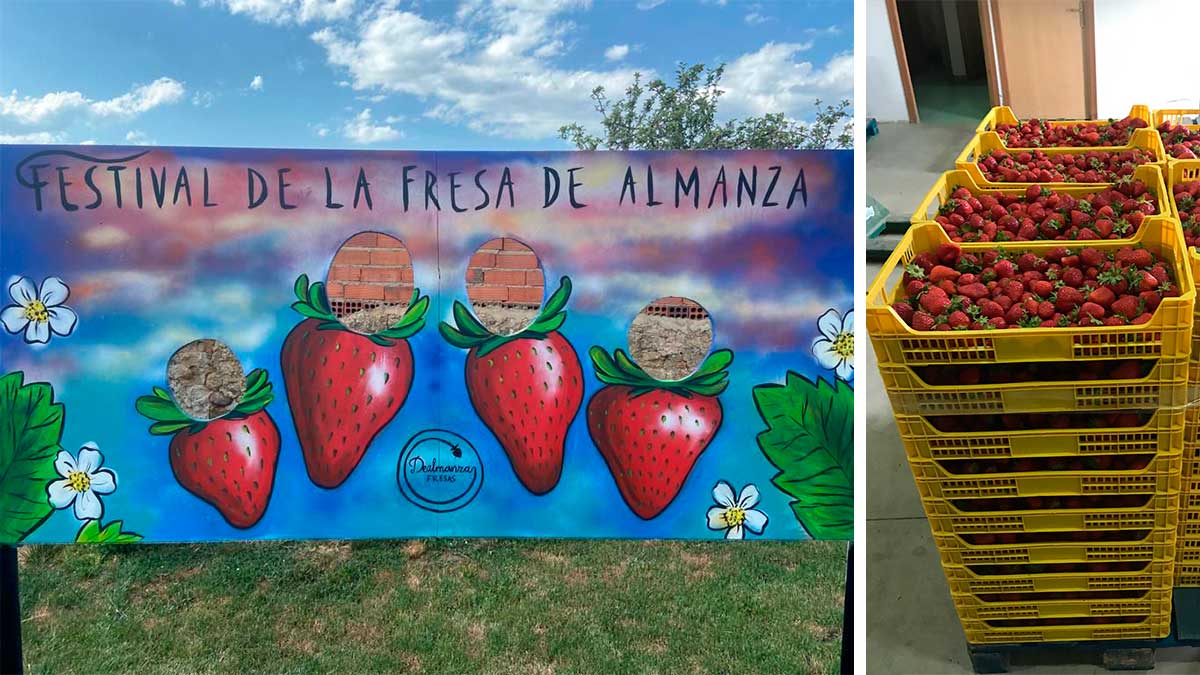 Un 'photocall' temático que será instalado en el recinto ferial y varias cajas de fresas de Almanza. | L.N.C.
