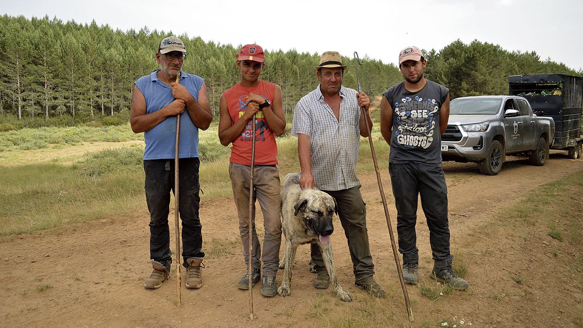 José, Iker, Fernando y Juan Carlos con uno de los mastines del rebaño de 1200 ovejas que suben desde Trujillo a las montañas de León, en Salamón. | LAURA PASTORIZA